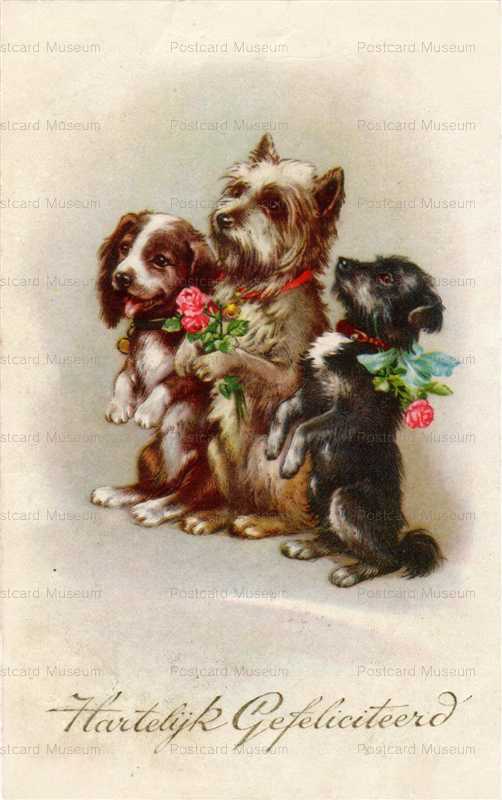 adc037-Cute Scottie Terrier Dog Artist