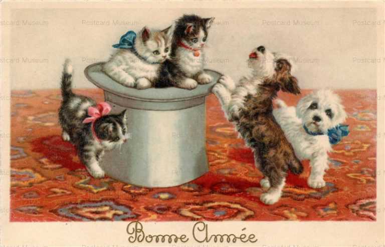 adc038-Dandie Dinmont Terrier with Cats Bonne Chmee