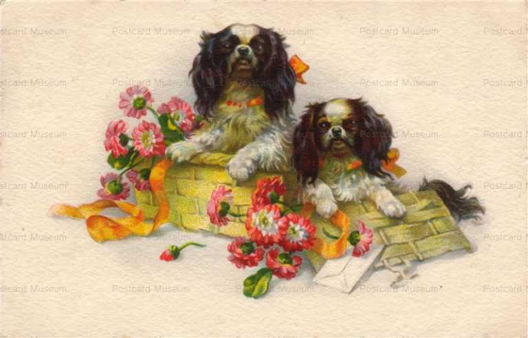 adc042-Charles Spaniel Dog Made by Jounok