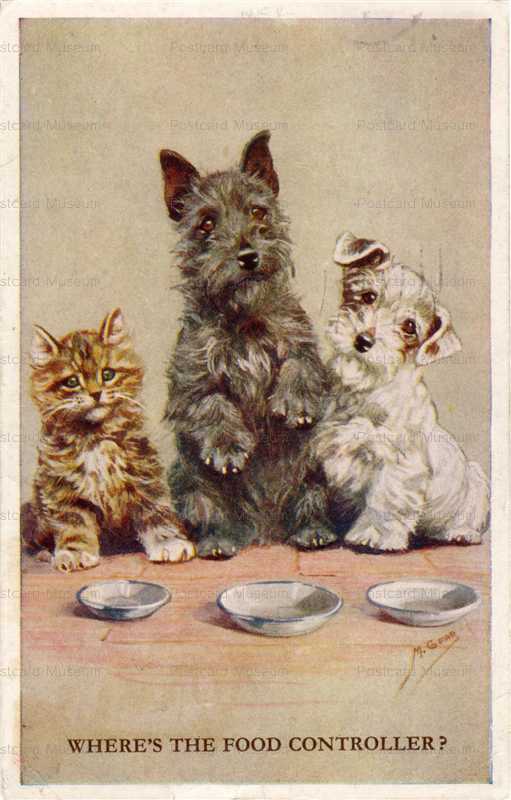 adc045-Scottie Sealyham Terrier Mable Gear Dog