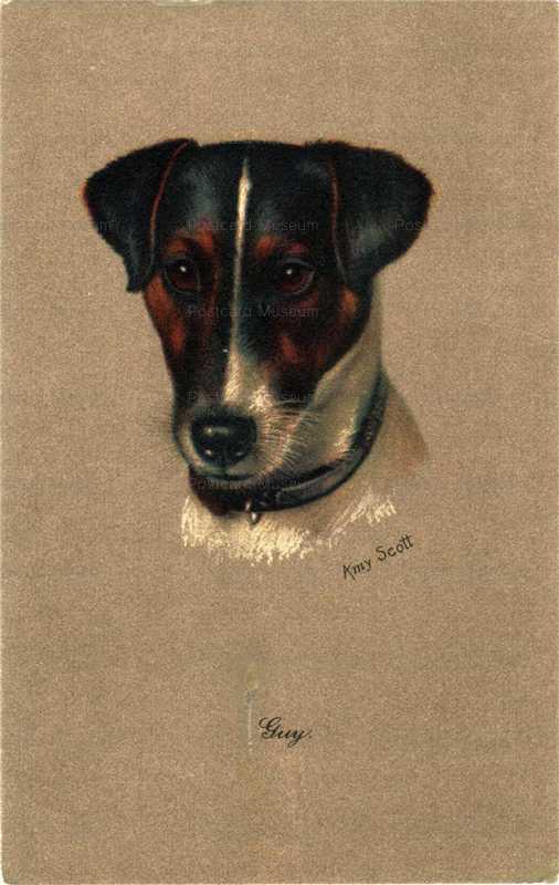 adc048-Smooth Fox Jack Russell Fox Terrier