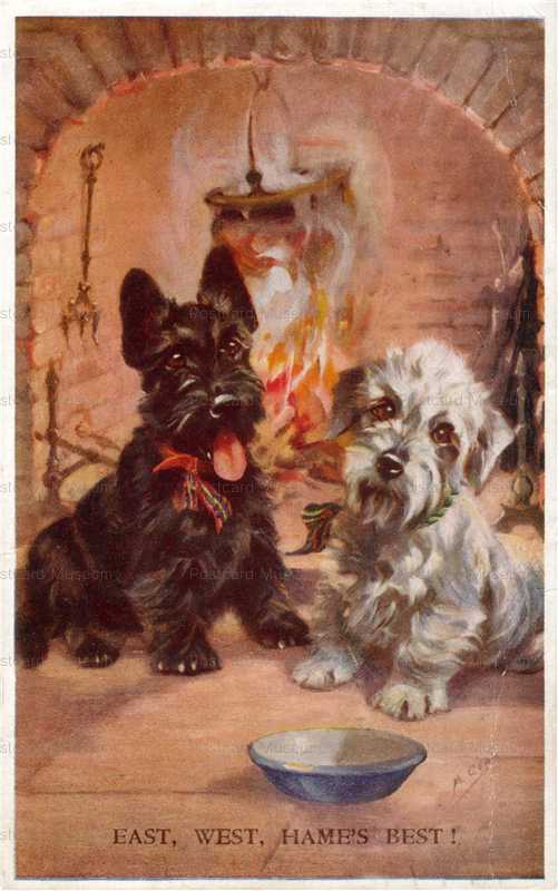 adc050-Dandie Dinmont and Scottish Terrier Dog