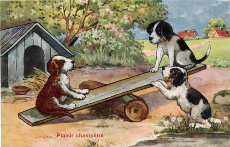 adc063-Kenndy Dogs Country Play