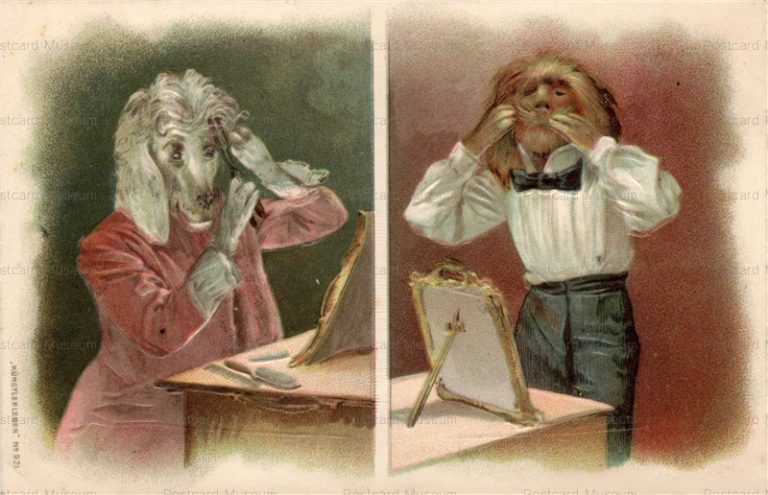 adc070-Dressed Poodle Dog Hairdo Care Kunstlerleben