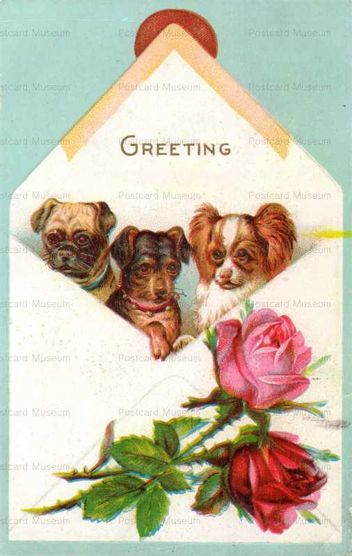 adc083-Three Dogs Wonderful Old Greeting