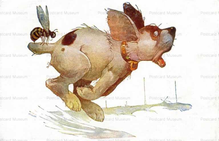 adc085-Eescape Dog Which Bitten by a Bee