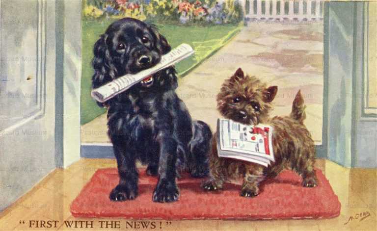 adc086-Cairn Terrier Cocker Spaniel Papers