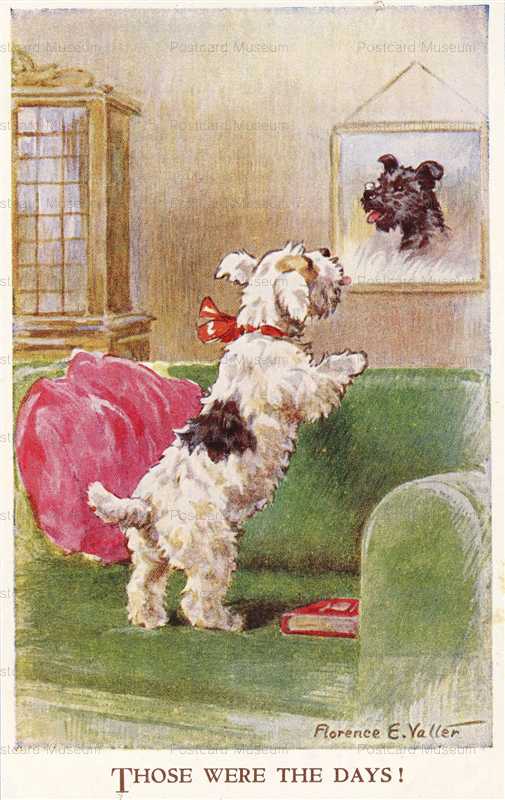 adc088-Wire Fox Terrier on Chair Vlter Old Dog