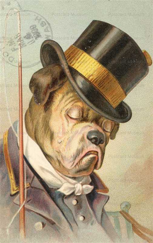 adc105-Dog Dressed as Coach Driver with Top Hat Neat