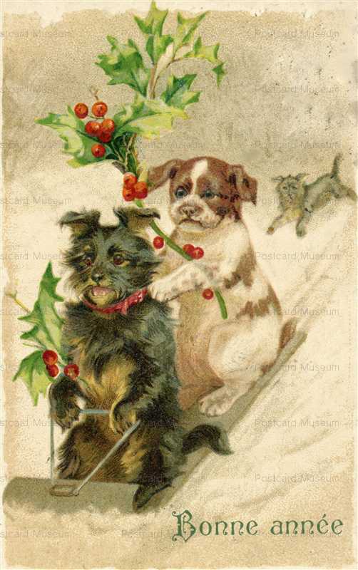 adc220-Dogs in the Sled