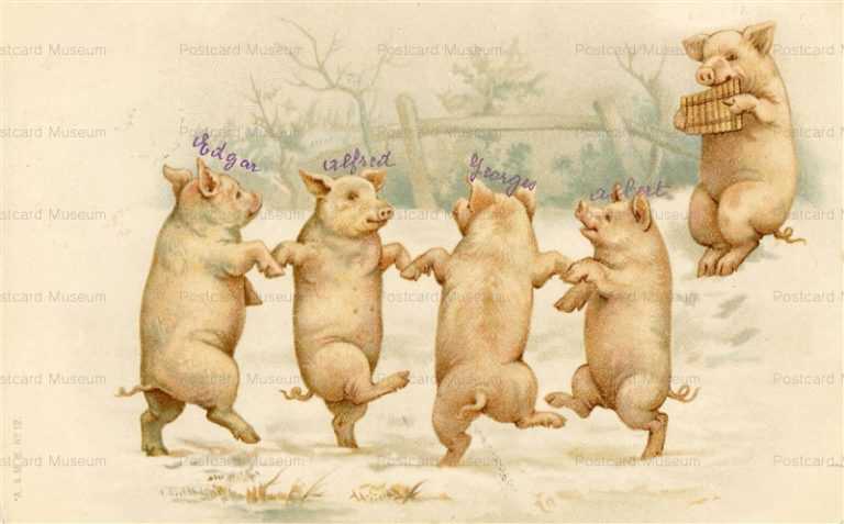 au310-Pigs Dancing in the Snow Early Chromo