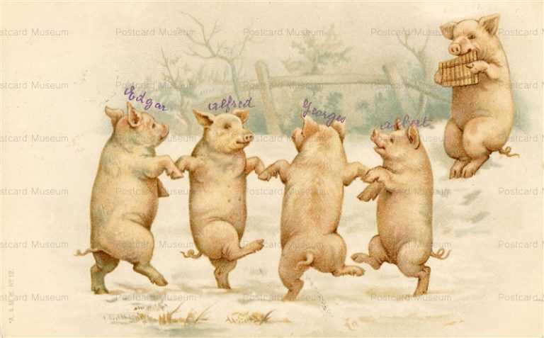au310-Pigs Dancing in the Snow Early Chromo