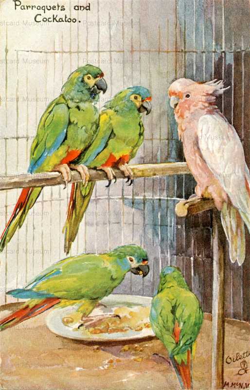 au700-Parroquetes&Cockatoo Parrots Oilette