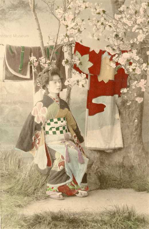 bg103-元禄艶姿 桜