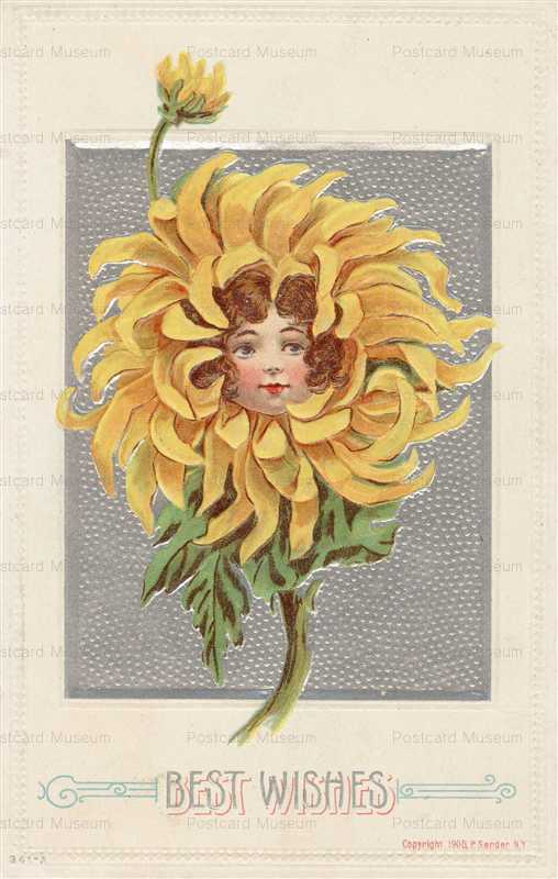 c138-Best Wish Girl in Sunflower P Sander