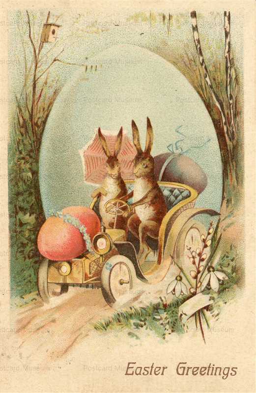 e031-Easter Rabbit Drive a Car