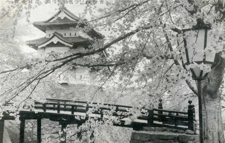 eb545-Hirosaki Catsle Blossom 弘前鷹揚場園 古城の櫻