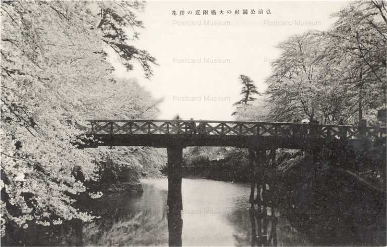 eb554-Hirosaki Park 弘前公園杉の大橋付近の桜花