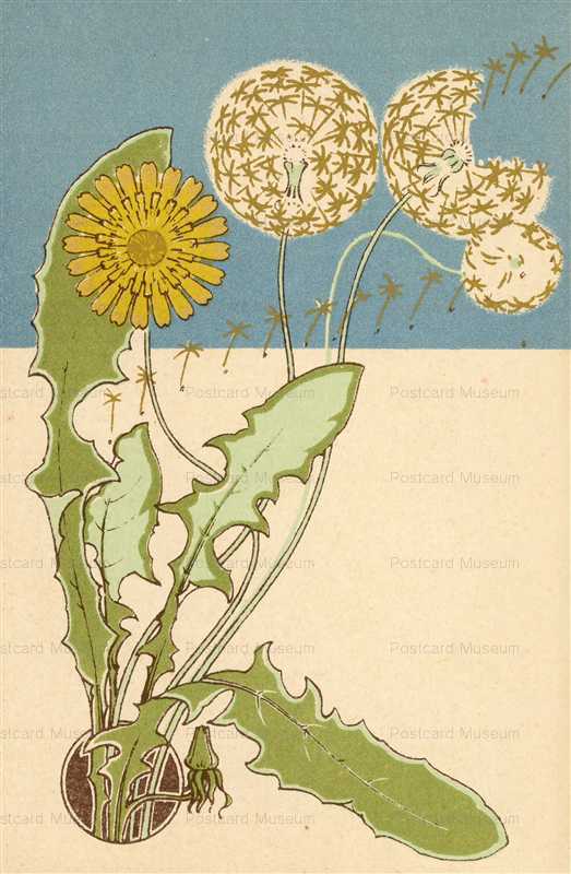 em013-Dandelion Litho