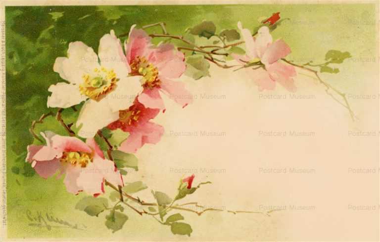 em076-Catherine Klein Pink Flower