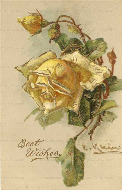 em081-Catherine Klein Yellow Rose