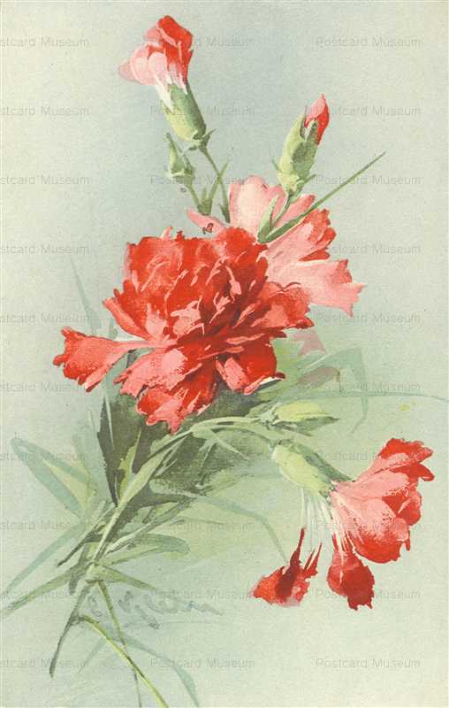 em085-Catherine Klein Red Carnations