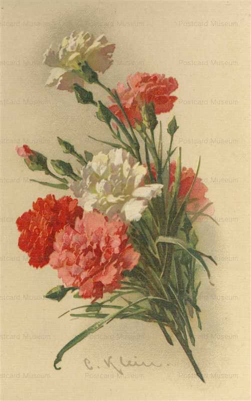 em086-Catherine Klein Big Bunch White Pink Red Carnations