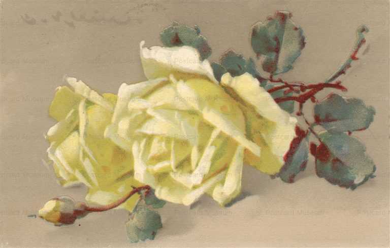 em088-Catherine Klein Romantic Yellow Roses