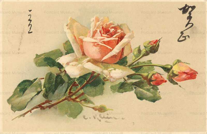 em092-Catherine Klein Pink Roses