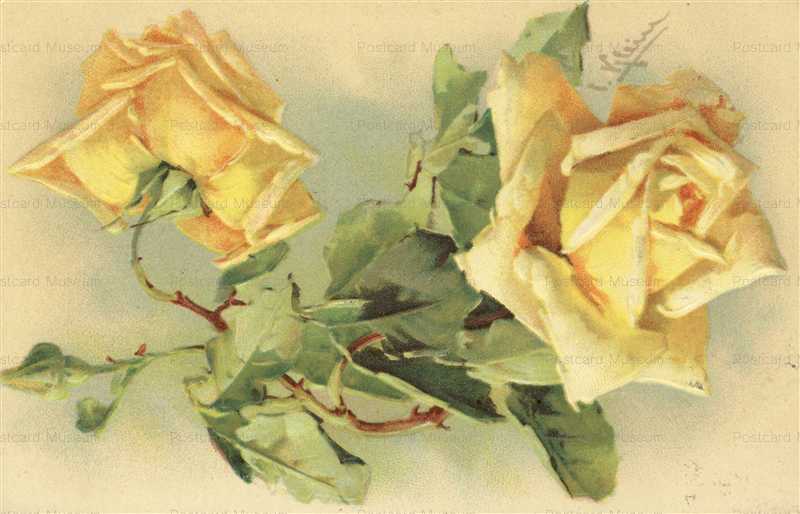 em095-Catherine Klein Yellow Roses