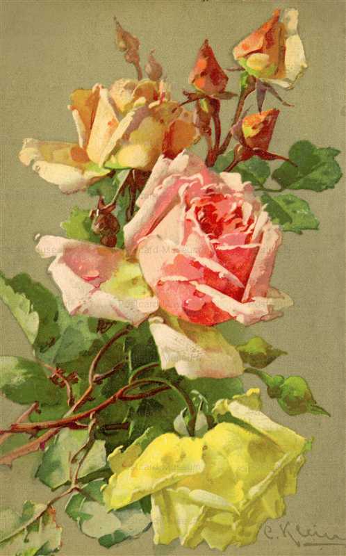 em100-Catherine Klein Pink Yellow Roses