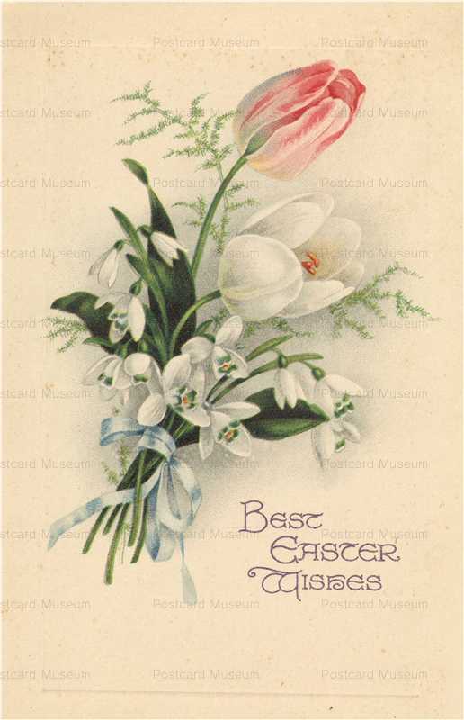 em260-Tulip Best Easter
