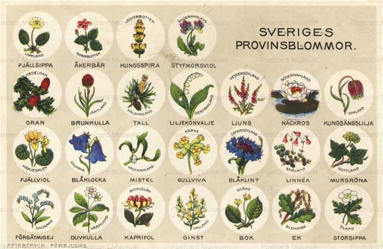 em290-Sweden Sverige Province Flower Botanical