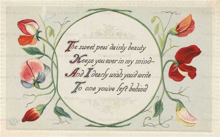 em352-Verses or Mottos Sweet Peas