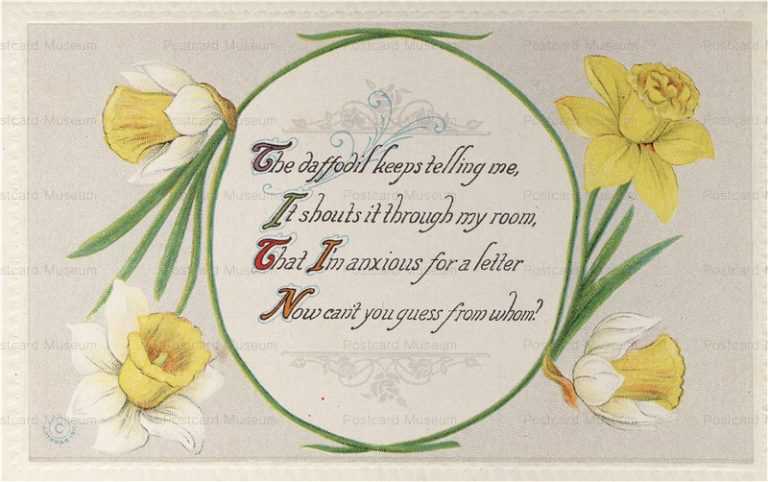 em354-Verses or Mottos! Daffodil
