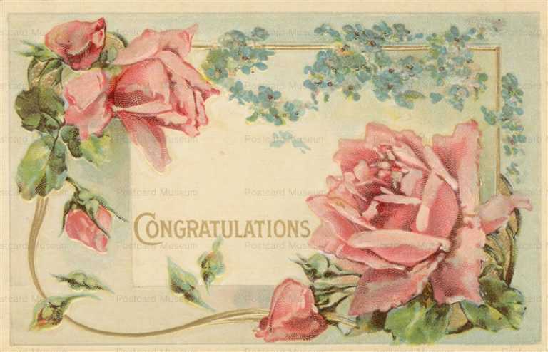 em401-Congratulations Pink Rose