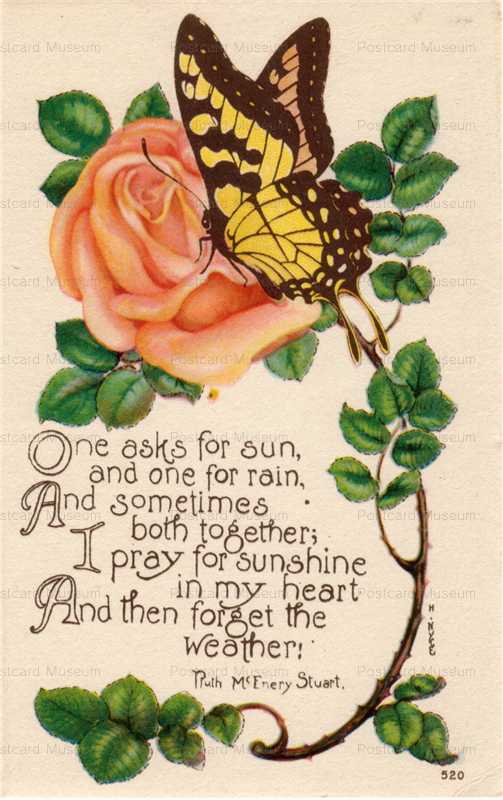 em502-Buterfly embossed