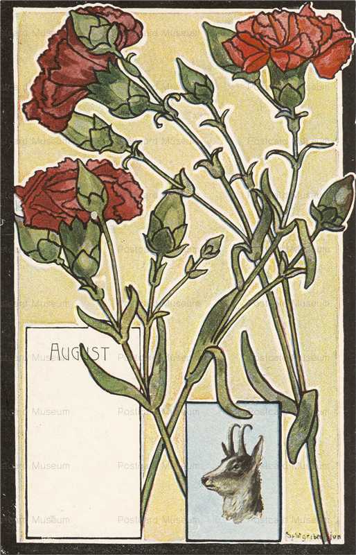 em504-Carnation August