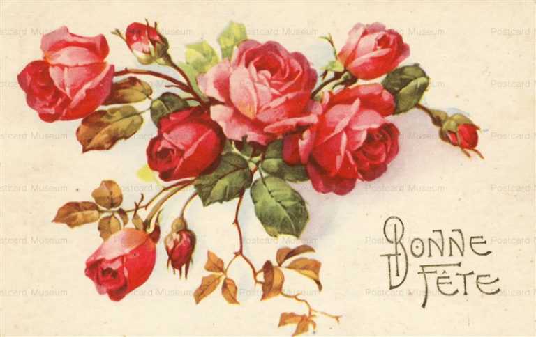 em508-Red Roses Bonne Fete