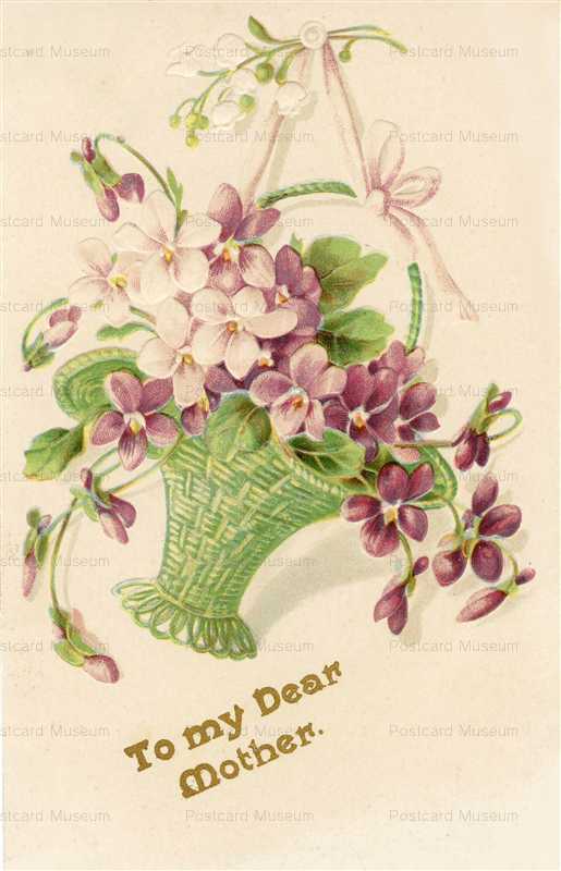 em512-Violets Greeting