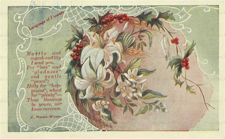 em520-Myrtle Myrrh Lily Langage of Flowers