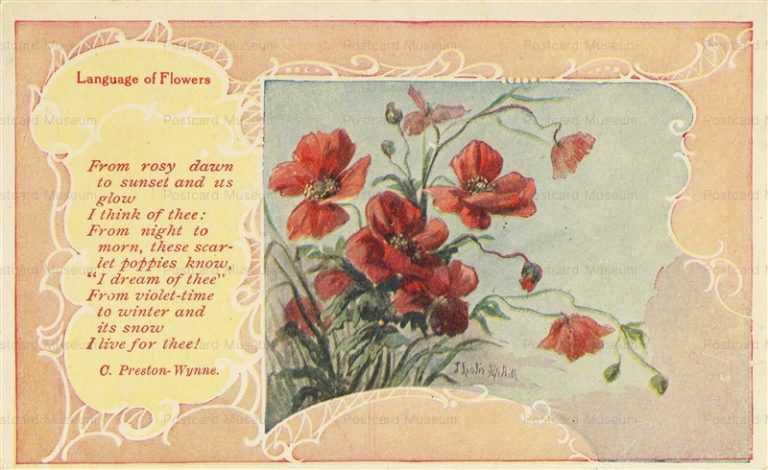 em521-Poppies Langage of Flowers