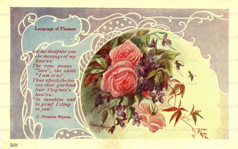 em522-Rose Langage of Flowers