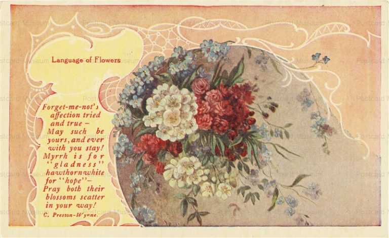 em524-Forget Me Langage of Flowers