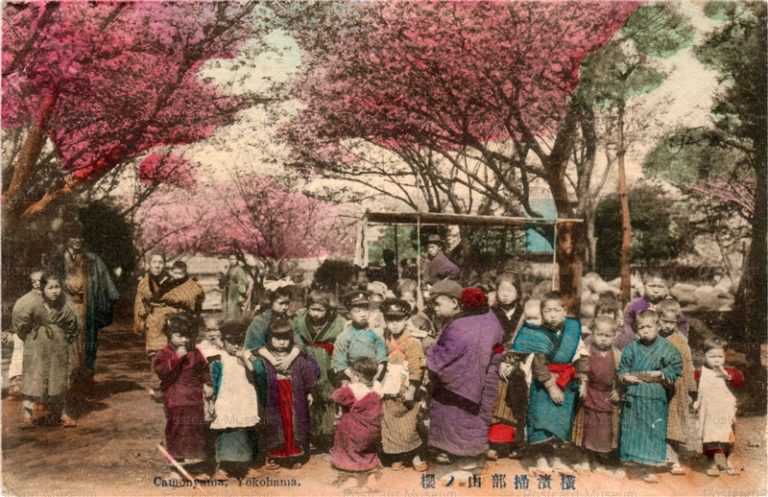 fb150-子供達 横浜掃部山 桜
