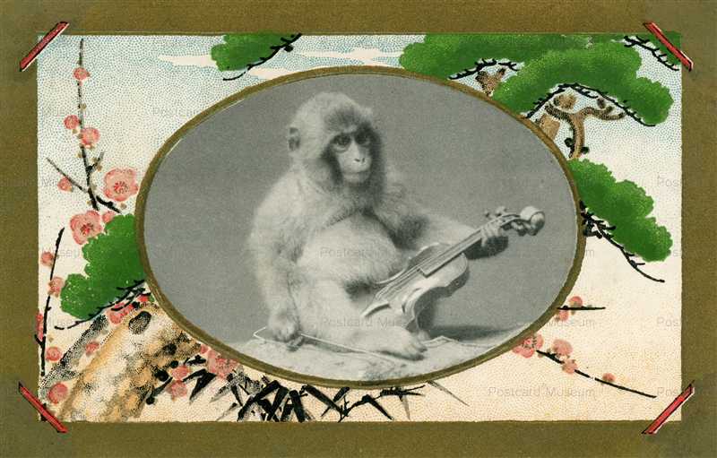 fd502-猿とバイオリン