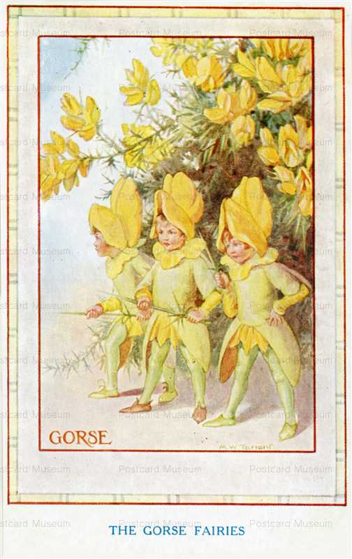 fo350Margaret Winifred Tarrant the Gorse Fairies