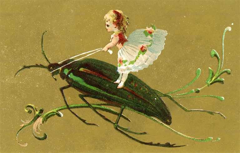 fo710-Little Elf Fairy on Huge Beetle