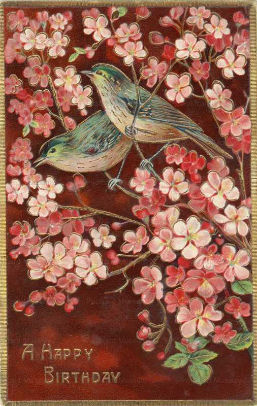 hb014-Birthday Birds