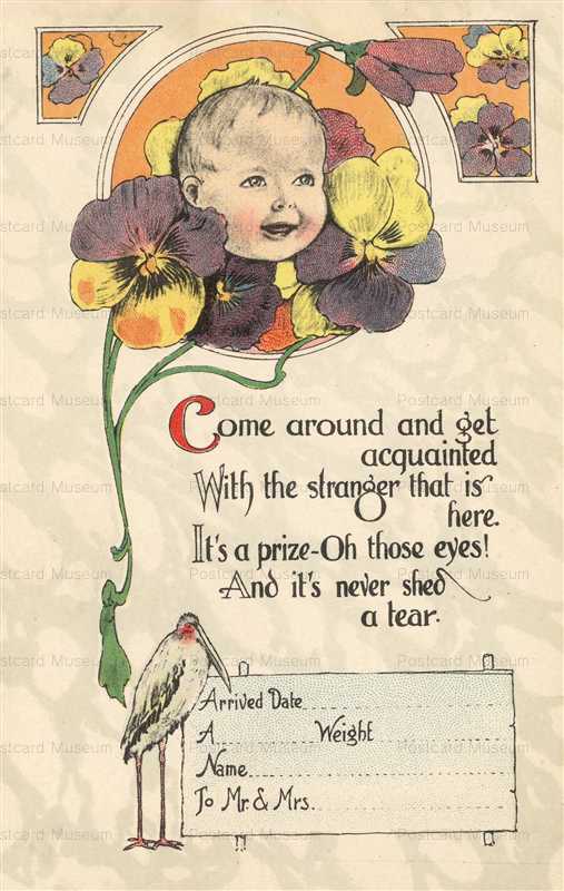 hb104-Stork Baby Birth Announcement Fantasy Stork Bird and Baby Pansy